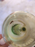【京東物流】水杯冰霸吸管杯高顏值學生茶水分離大容量杯子 肚肚杯1個-淺綠色 曬單實拍圖