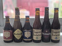 TRAPPISTES ROCHEFORT修道院系列 茜麥爾/羅斯福/智美六口味禮盒330ml*6瓶 聚會送禮 曬單實拍圖