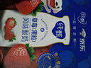 蒙牛純甄草莓果粒風(fēng)味酸奶211g×10盒 整箱定制裝 加量不加價 曬單實拍圖