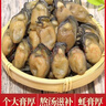 頂吉漁湛江生蠔干海蠣干牡蠣干特產(chǎn)無鹽淡干海產(chǎn)干貨新貨批發(fā) 生蠔干80克【肉質(zhì)厚實】 曬單實拍圖