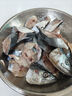 深海馬鮫魚(yú)新鮮冷凍正宗大鲅魚(yú)海鮮400-500克/條 馬鮫魚(yú)1條 曬單實(shí)拍圖