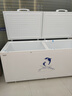 澳柯瑪（AUCMA）商用大容量臥式冰柜 冷藏冷凍轉(zhuǎn)換雙門頂開冰柜 保鮮柜單溫大冷柜節(jié)能省電 BC/BD-737TC 737L 曬單實(shí)拍圖