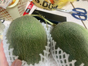 京鮮生 西州蜜哈密瓜 1-2粒裝 凈重5-6斤 源頭直發(fā) 包郵  曬單實(shí)拍圖