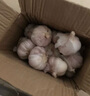 寶菜大蒜紫皮蒜頭25年山東金鄉(xiāng)地標(biāo)產(chǎn)品帶皮干蒜產(chǎn)地源頭直發(fā)包郵 精品大果-凈重1.8斤裝 單果5.5cm 曬單實(shí)拍圖