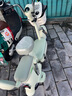 愛瑪小金豆48V16AH鉛酸電池簡(jiǎn)易款電自新國標(biāo)可上牌60KM長(zhǎng)續(xù)航電動(dòng)車 金豆源彩錫林淺綠-48V16AH鉛酸電池 曬單實(shí)拍圖