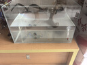 坤寧王金晶超白玻璃魚缸桌面造景小魚缸家用客廳裸缸一體缸35*20*22cm 曬單實拍圖