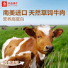 良品鋪子無(wú)添加風(fēng)干牛肉干500g 孕婦兒童即食肉干肉脯5成干休閑零食小包裝 曬單實(shí)拍圖