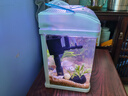 長銳小魚缸小型桌面客廳家用玻璃免換水迷你 CR230+水蘭青竹景（真水草） 曬單實(shí)拍圖
