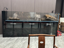 魚(yú)意坊工業(yè)風(fēng)溪流缸全套底過(guò)濾背包客廳超白玻璃蘭壽魚(yú)缸水族箱造景草缸 黑色+【內(nèi)置背包】 10*10*10cm（長(zhǎng)/寬/高，聯(lián)系定制） 曬單實(shí)拍圖