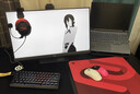 微星（MSI）24.5英寸 原生300Hz 0.5msGTG HDR10 FastIPS 旋轉升降 外接筆記本顯示屏 游戲電競顯示器 MAG 255XF 曬單實(shí)拍圖