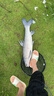 川澤蠻牛鰱鳙浮漂釣魚(yú)防爆頂一體倒錐尾魚(yú)漂高靈敏清晰醒目鰱鳙大物漂 CH02-4【吃鉛7.0g】大物鰱鳙 無(wú)規(guī)格 曬單實(shí)拍圖