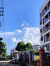 芝浦（zhipu）電鋸家用充電式鋰電鋸小型迷你便攜單手鋸電鏈鋸園林戶外伐木修枝 4寸工業(yè)款【65800H】二電+2鏈條 曬單實拍圖