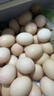 800M可生食鮮雞蛋30枚 高山散養 無(wú)菌無(wú)抗 營(yíng)養早餐鮮雞蛋媽媽放心 【30枚】高山散養無(wú)菌可生食鮮雞蛋 曬單實(shí)拍圖