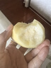 康田匯 陜西紅香酥梨 當季新鮮梨子水果現貨新鮮時(shí)令應季水果整箱 3斤【手挑精選果】 曬單實(shí)拍圖