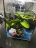 共度（Gong Du）魚缸底砂造景底沙裝飾擺件沙子雨花石五彩石草缸石頭子鋪底布景 冰海藍(lán)玻璃砂800g 曬單實(shí)拍圖