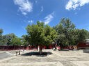 星巴克經(jīng)典咖啡大杯單杯券15選1  咖啡券 全國到店通用 限一次性核銷飲品兌換券 經(jīng)典咖啡大杯單杯券 曬單實拍圖
