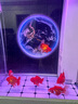 漾夢(mèng)江魚(yú)缸背景貼紙壁紙水族箱造景自粘3d立體5d高清圖壁畫(huà)缸外貼畫(huà)定制 星空星球 80x60x0cm 曬單實(shí)拍圖