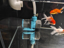 創(chuàng)寧魚缸漁池循環(huán)變頻潛水泵 水族箱安靜抽水  水陸兩用 魚池假山過濾 升級款【超輕音25W】流量2200-3500L 曬單實(shí)拍圖