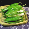 湖南本地新鮮薄皮青椒超市生鮮蔬菜辣椒炒菜伴侶微辣 實(shí)惠 4斤 ±0.4斤* 1箱 曬單實(shí)拍圖