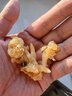 胖東來品質(zhì) 蛤蜊肉海鮮干貨花蛤肉新鮮花甲肉黃蜆子肉 [1罐]蛤蜊干(250g*1罐） 曬單實拍圖
