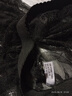 旗袍內搭紗裙外搭一層網(wǎng)紗裙半身裙女透明裙子蕾絲中長(cháng)裙外穿春秋 黑色（長(cháng)度60cm） 均碼 （體重80-160斤可穿） 曬單實(shí)拍圖