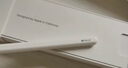 Apple/蘋(píng)果 Pencil(USB-C)磁吸觸控筆手寫(xiě)筆蘋(píng)果筆電容筆適用于新iPad mini/Pro (M4)/Air (M2)/iPad11 曬單實(shí)拍圖