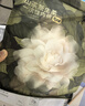 babycare一次性內(nèi)褲山茶花產(chǎn)婦日拋月子待產(chǎn)出差旅行L碼15條【安全滅菌】 曬單實(shí)拍圖