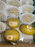 佳沛（zespri）新西蘭  陽光金奇異果16粒禮盒經(jīng)典果單果約 77-103g 水果 獼猴桃 曬單實拍圖