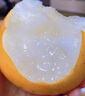 山姆伯伯秋月梨正宗萊陽梨【多地次日達(dá)】新鮮梨子香雪梨水果禮盒中秋禮品 【清甜-優(yōu)選果】丨單果200-300g 5斤裝【超劃算-80%回購選】凈4.5 曬單實拍圖