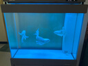 森森（SUNSUN）新款超白魚缸客廳玻璃大型水族箱智能觸控家用免換水底濾缸 超白0.8米35寬 無極變光+新式底濾 納米灰 曬單實拍圖