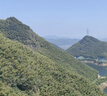 京鮮生 河北青翠蜜梨 凈重4.5斤 單果250g+ 青皇冠梨 生鮮水果 源頭直發(fā) 曬單實(shí)拍圖