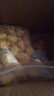 匯百熊烤饃丁山西純堿烤饃干傳統工藝烤花卷代早餐小零食臨縣特產(chǎn)烤饅頭 【3斤超值】蔥香味(約380個(gè)) 曬單實(shí)拍圖