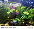 YEE超白魚缸桌面客廳生態(tài)斗金魚烏龜缸造景小型水草養(yǎng)魚玻璃裸缸50cm 曬單實(shí)拍圖