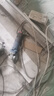東成角磨機WSM800-100手持打磨機切割機手砂輪磨光機金屬電動(dòng)工具 曬單實(shí)拍圖