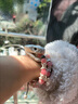 山頭林村蛇骨頭手串精致蛇骨手鏈冷門(mén)蛇骨鏈情侶款禮物文玩可定制款 帶蛇頭雙圈粉色波斯玉款 熱賣(mài)款 曬單實(shí)拍圖