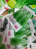 四季蔬菜種子大全菠菜香菜生菜油麥菜莧菜雞毛菜芹菜矮腳黃蔬菜籽 紅根菠菜種子1包約1100粒 曬單實(shí)拍圖