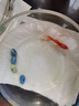 貝初眾魚缸生態(tài)缸中小圓形玻璃魚缸加厚斗魚缸金魚缸懶人客廳桌面魚缸 20*15*10cm 裸缸 曬單實拍圖