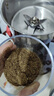 拜杰304不銹鋼粉碎機(jī)磨粉機(jī)研磨機(jī)中藥打粉機(jī)三七研磨機(jī) 800A升級(jí)款 曬單實(shí)拍圖
