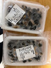微山湖農家特大田螺肉大號螺螄肉現(xiàn)挑新鮮去殼無鹽凈肉螺螄粉專用 特大田螺肉 500g 曬單實拍圖