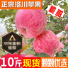 洛川蘋果陜西延安特產(chǎn)紅富士時令蘋果水果禮盒送蘋果生鮮新鮮脆甜整箱批發(fā) 10斤爆賣70-75mm（凈重8.5斤） 曬單實拍圖
