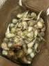 正宗美味好吃蕎頭現(xiàn)挖新鮮自種藠頭腌制泡菜農(nóng)家當(dāng)季現(xiàn)挖新鮮蔬菜 5斤【源頭直采包郵】 大果 曬單實拍圖