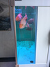 閩江（minjiang）魚缸水族箱客廳免換水生態(tài)造景家用超白玻璃金魚缸生態(tài)缸水缸 典雅白色（鋁合金框架+塑鋼） 長100x寬42.7x高155cm（4K高清玻璃） 曬單實拍圖