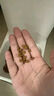 誠實(shí)一口經(jīng)典P40全期全價(jià)貓糧雞魚(yú)味整箱裝1.5kg*4包（6kg）【寵物金選】 曬單實(shí)拍圖