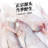 森農樂(lè )豆腐魚(yú)舟山特產(chǎn)龍頭魚(yú)鮮活冷凍海鮮水產(chǎn)九肚魚(yú)生鮮海魚(yú)水潺3斤裝 凈重1500g【鮮肥嫩滑】 曬單實(shí)拍圖