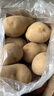 隴百味甘肅定西土豆2025年新挖粉糯面沙高山小洋芋鮮馬鈴薯定西特產(chǎn) 3兩起 5斤中果 曬單實拍圖