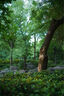 銘匠50mm f2 全畫(huà)幅定焦鏡頭 大光圈人像 鏡頭手動(dòng)對(duì)焦 銘匠光學(xué)50f2 XM5鏡頭 黑色(微單手動(dòng)鏡頭) 松下/適馬/徠卡-L卡口 曬單實(shí)拍圖