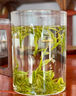 安吉白茶特級2025年新茶春茶珍稀明前豆香味綠茶葉高山250g罐裝 250g 曬單實拍圖