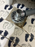 潛水艇洗衣機(jī)排水管道三頭通用二合一下水管地漏接頭三通烘干機(jī)頭 A1接1臺(tái)洗衣機(jī)【地漏/PVC通用】 曬單實(shí)拍圖