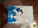 官參堂 大連底播淡干海參干貨9年遼刺參海鮮水產(chǎn)禮盒 簡裝 精選 250g*1盒 20-30只 曬單實(shí)拍圖