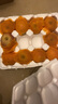 甜醉了 煙臺(tái)蘋果棲霞紅富士新鮮水果生鮮山東特產(chǎn)脆甜整箱平果禮盒禮品 紅富士凈重4.5斤75-80mm 曬單實(shí)拍圖